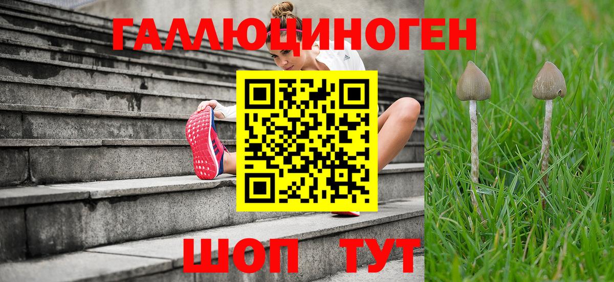 Галлюциногенные грибы прущие грибы  Вход с VPN  Галлюциногенные грибы Magic Shrooms  Тверь 