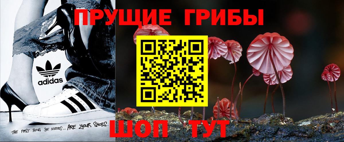 Псилоцибиновые грибы Psilocybine cubensis Тверь