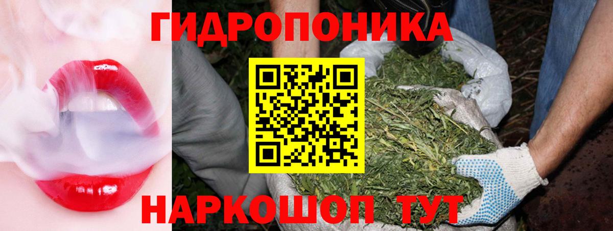 Тверь  МАРИХУАНА семена  Каннабис OG Kush  Вход с VPN 
